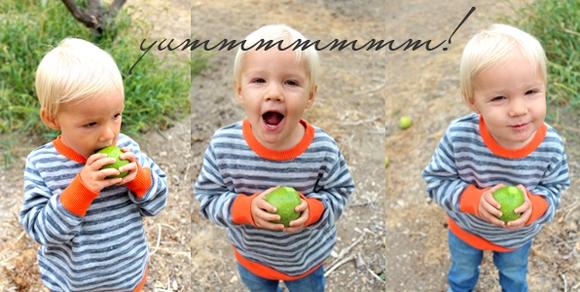 boy eating apples