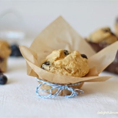 Santa Barbara Blueberry Picking + Low Fat Almond Flour Blueberry Muffins