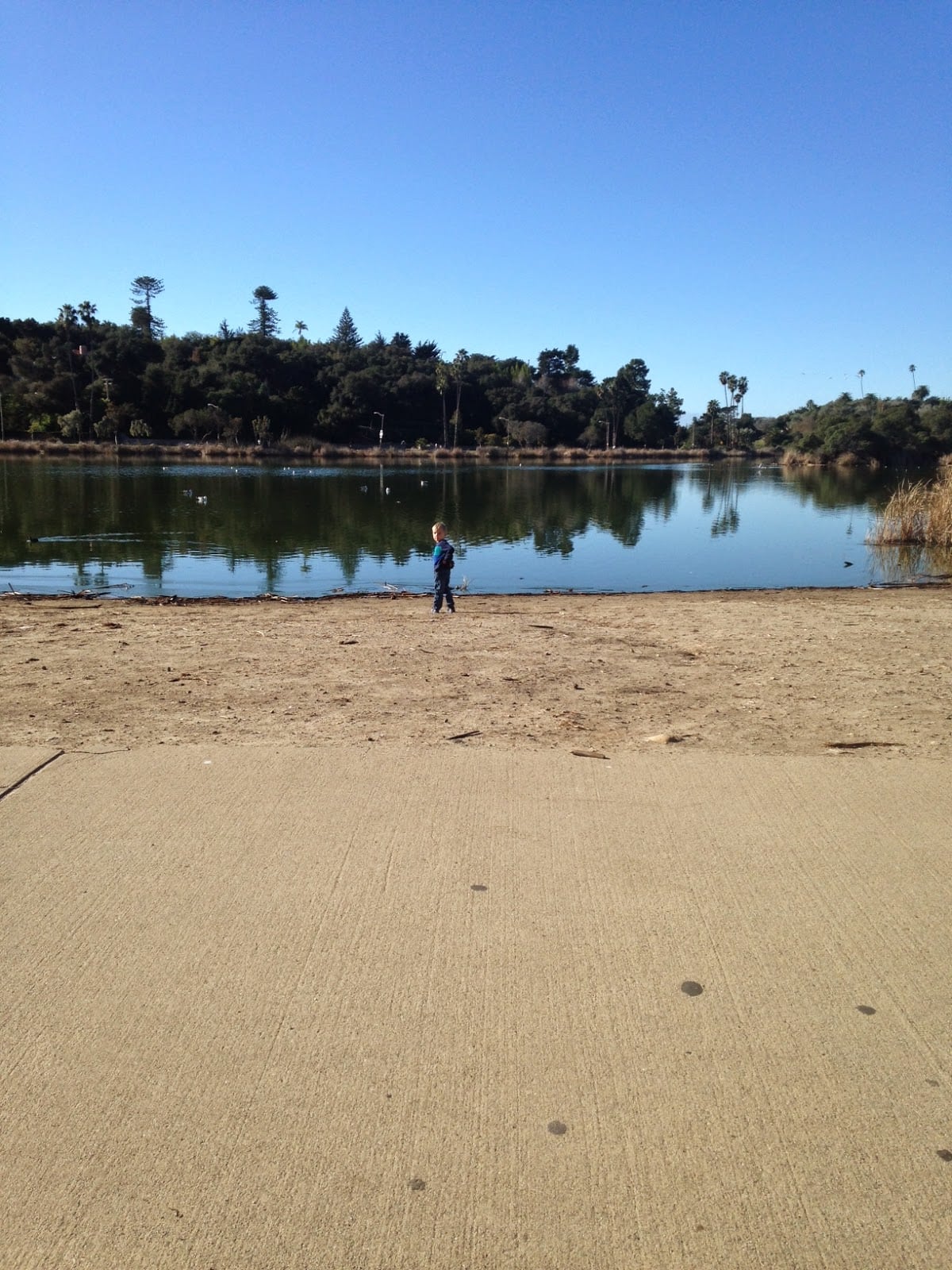 Chase watching the birds at the refuge pond.