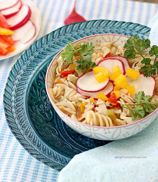 Rainbow Chicken Noodle Soup