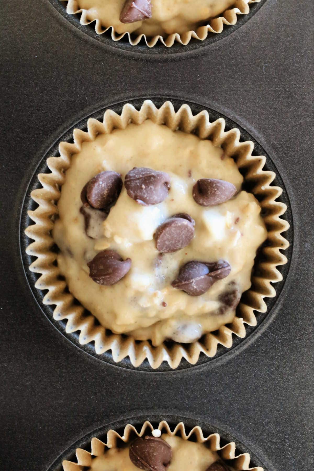 Chocolate Chip Muffins in a muffin pan