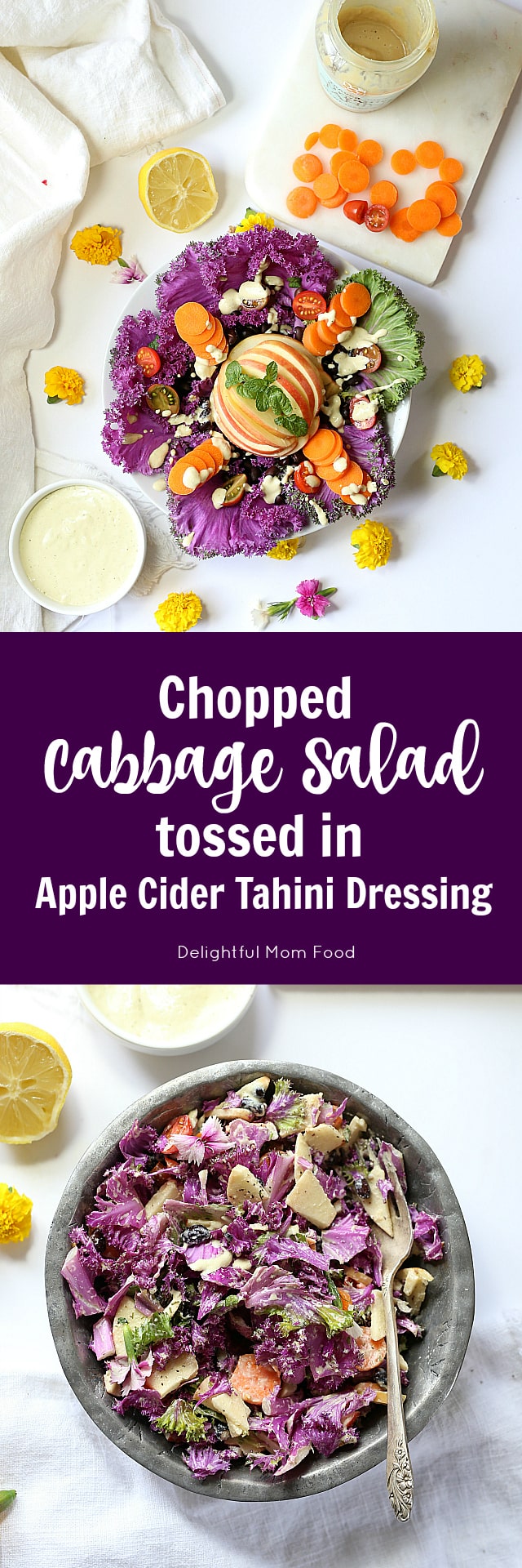 Savoy purple cabbage beautifully chopped and dressed in an apple cider tahini dressing. This salad has all the digestive gut-healing properties you need to start off the month!