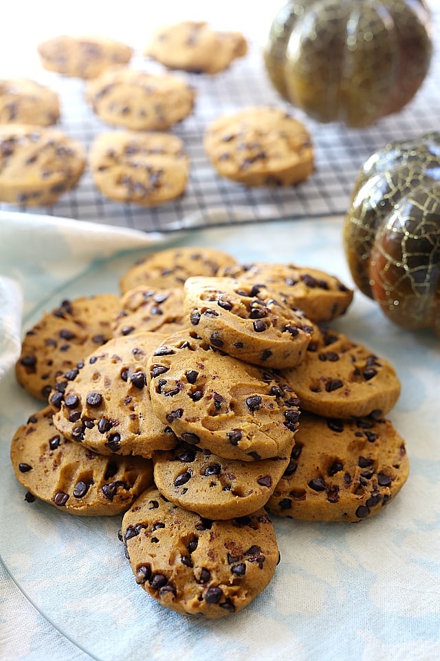 Pumpkin Chocolate Chip Cookies made gluten-free and dairy-free! These easy healthy cookies are incredibly easy and fluffy with savory notes of cinnamon, orange and vanilla spices to warm your taste buds this holiday season. 