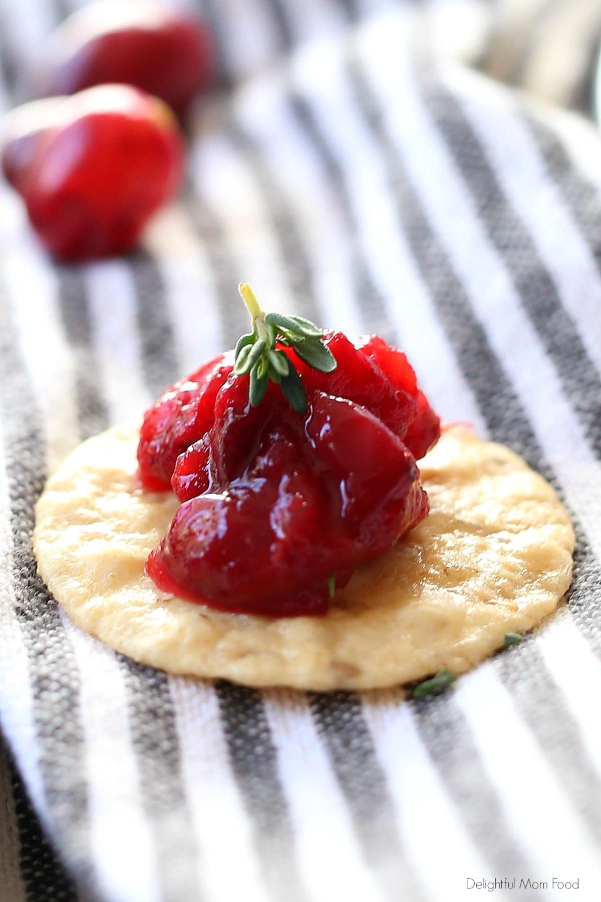 homemade cranberry sauce on crackers