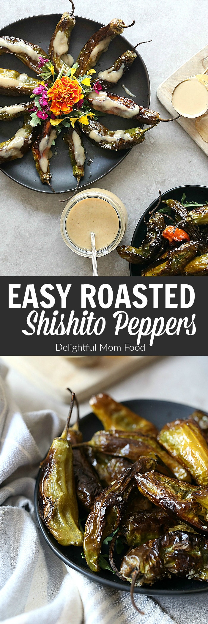 Roasted shishito peppers are a favorite appetizer around here! Ready in 25 minutes and fantastic served dipped in garlicky rich tahini sauce. | #roasted #shishito #peppers #recipe #easy #healthy #glutenfree #tahini #sauce #dressing | Recipe at delightfulmomfood.com