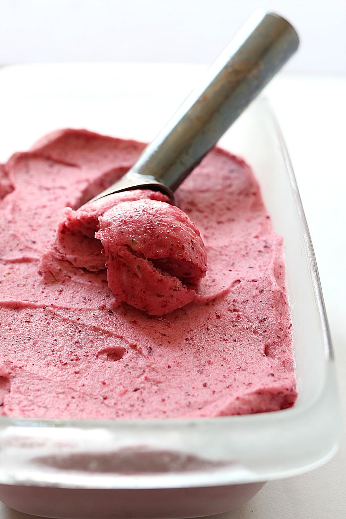 This cranberry ice cream is sure to soothe a sweet tooth craving! The berry’s bittersweet taste mixed with sweet frozen bananas and topped with (vegan) butter rum chocolate sauce is a healthier way to enjoy a frozen treat! #icecream #frozen #dessert #treats #fruit #cranberry #recipe #banana #capecodselect #frozencranberries #cranberriesforallseasons | Recipe at delightfulmomfood.com