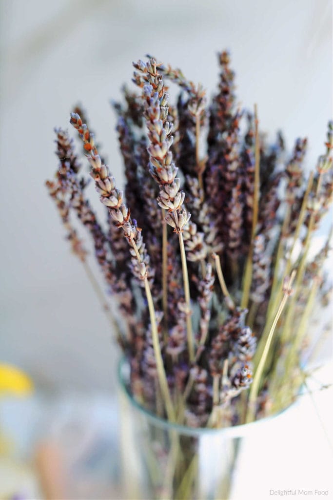 bundle of dried culinary lavender buds on stems used for cooking and flavoring foods