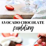 avocado chocolate pudding recipe