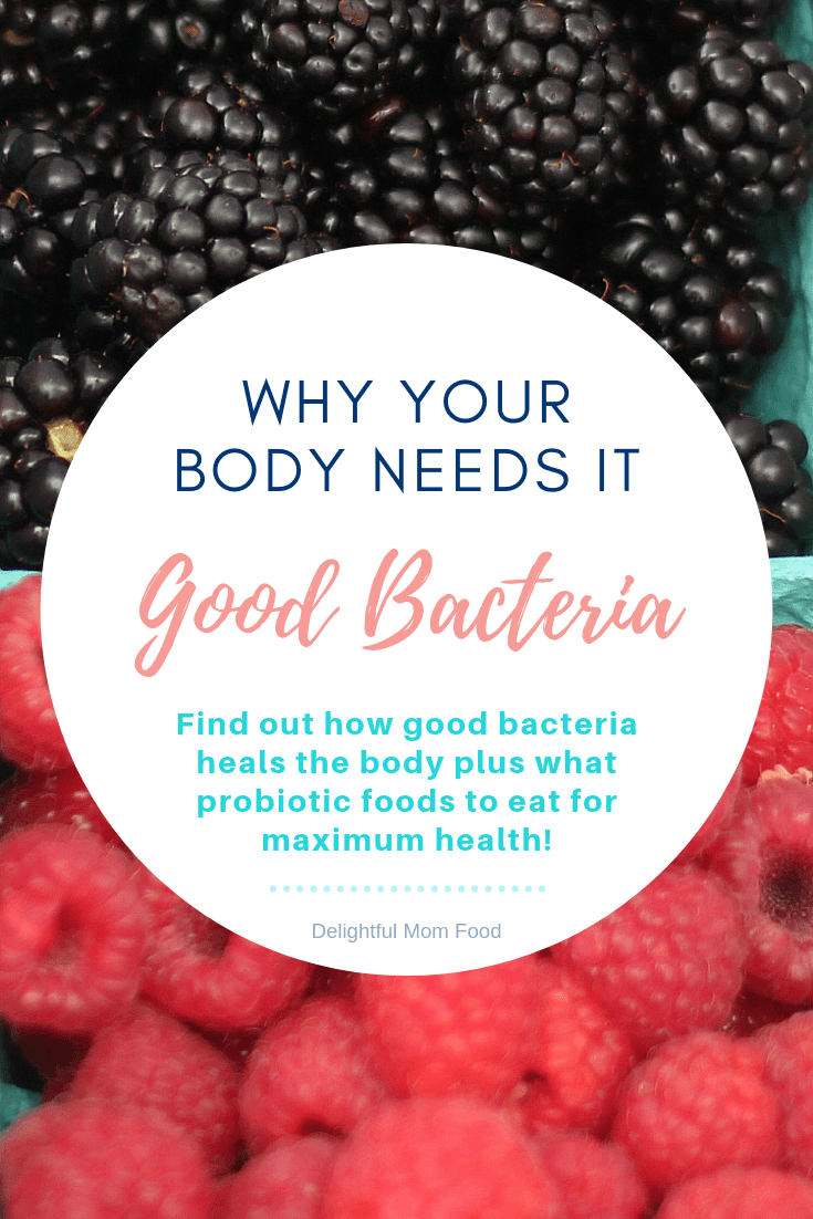Good bacteria and why your body needs it! Find out how good bacteria heals the body plus what probiotic foods to eat for maximum health! Probiotics are a beneficial bacteria with valuable benefits that aid to support the body, brain and second brain  -  the gut! #goodbacteria #probiotics #health #recipes | Delightful Mom Food