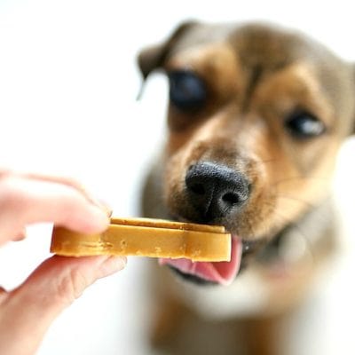 No-Bake Dog Treats