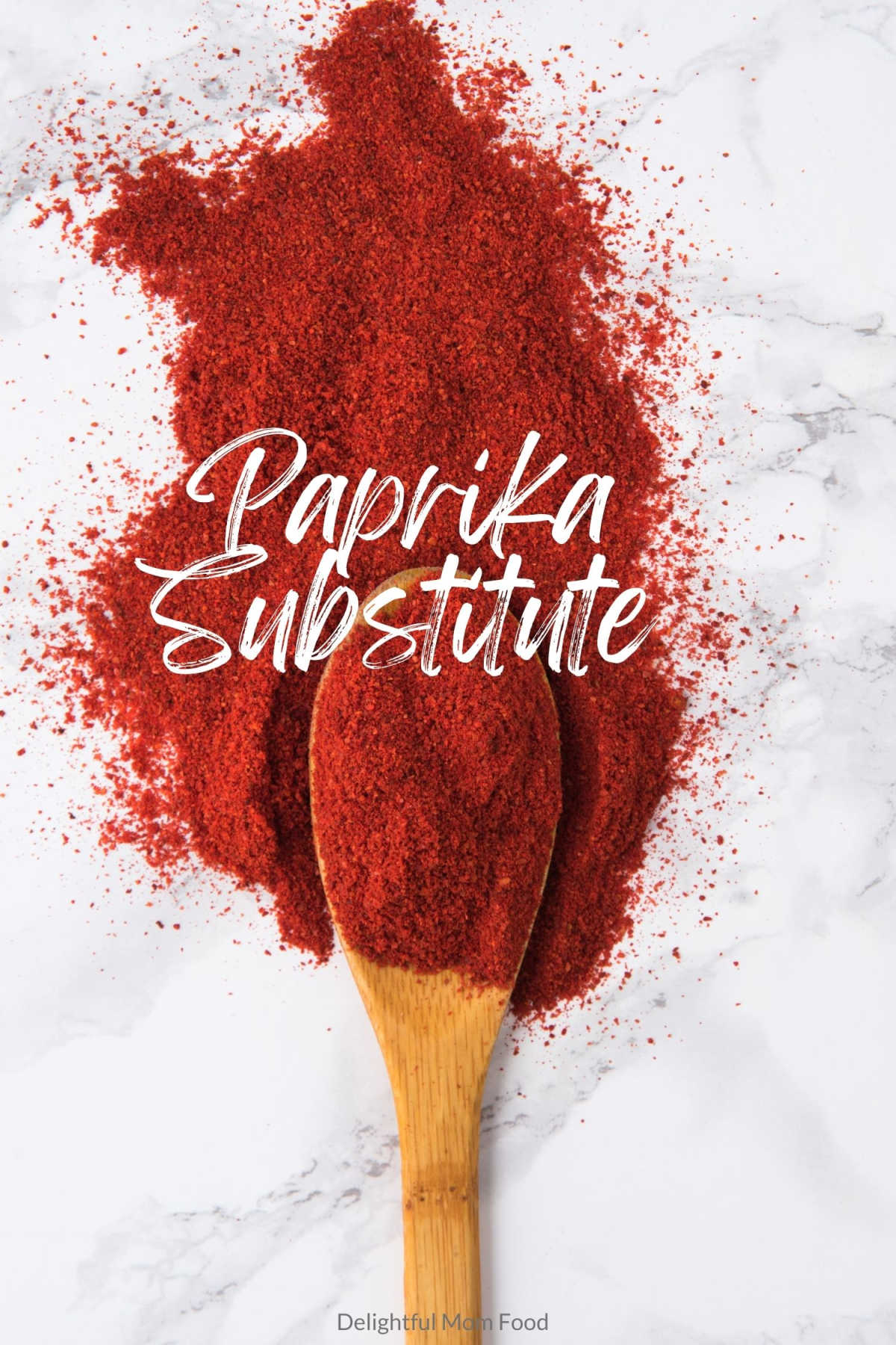 paprika substitute on a wood spoon