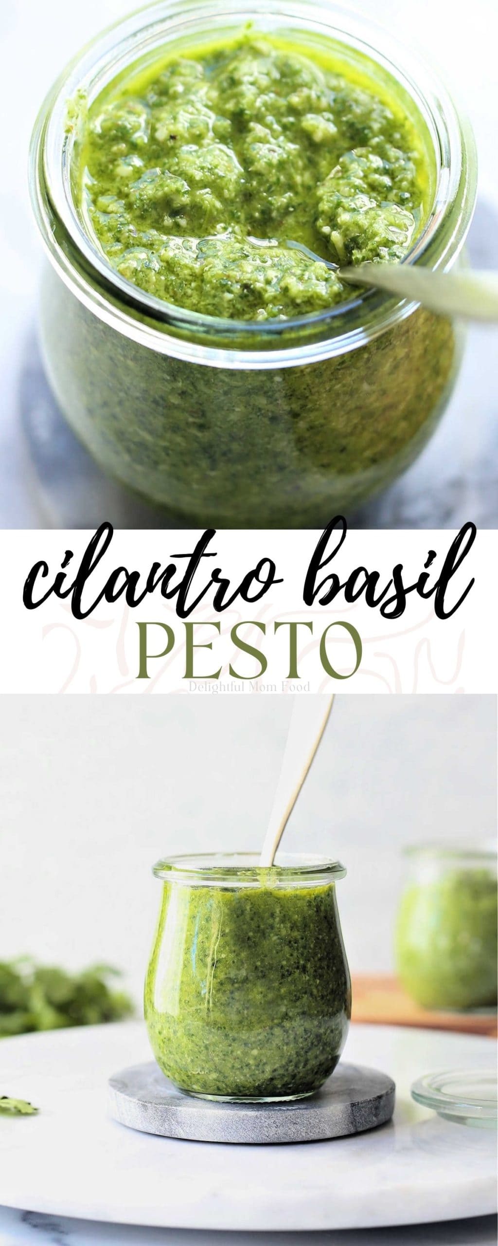 basil and cilantro pesto recipe
