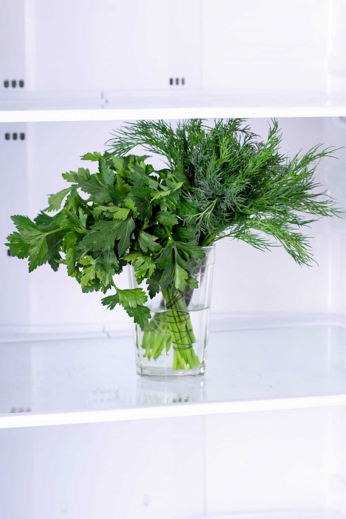 Green fresh parsley and dill in water to store in refrigerator