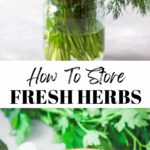 How To Store Fresh Herbs And Use Them