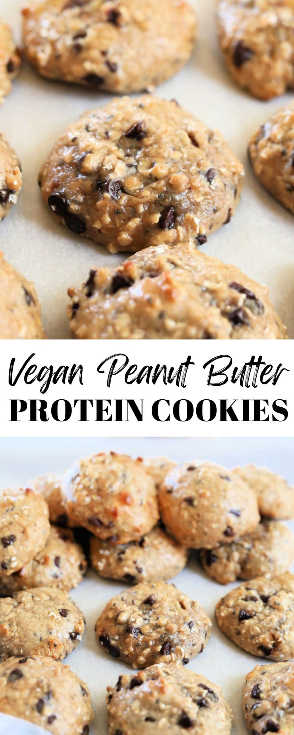 peanut butter protein cookies recipe