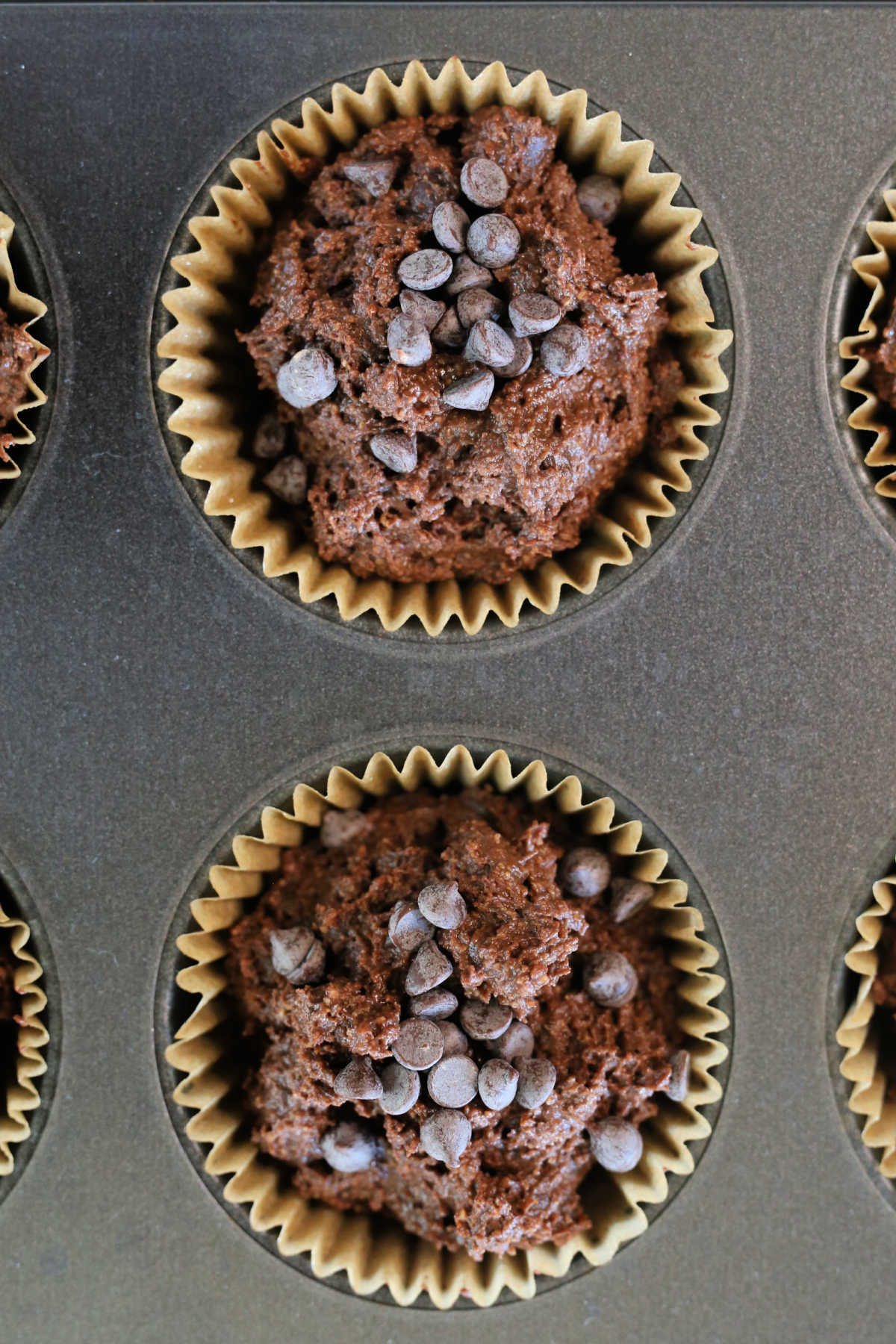gluten-free flourless muffins batter in cupcake liners in a muffin pan
