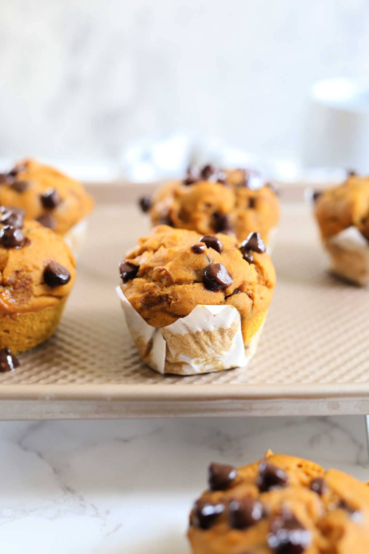 gluten-free pumpkin chocolate chip muffins on a baking sheet