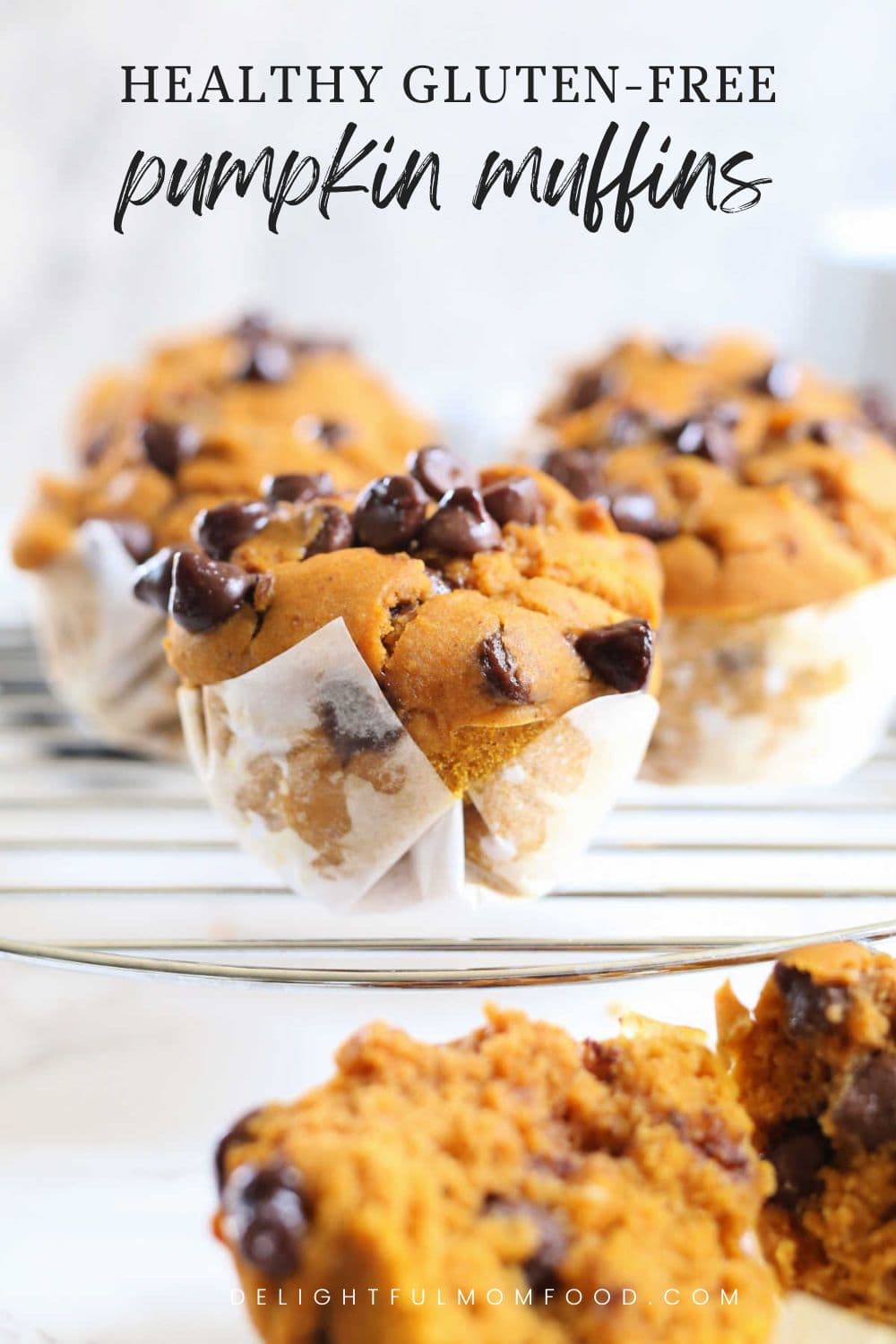 healthy gluten-free pumpkin chocolate chip muffin recipe