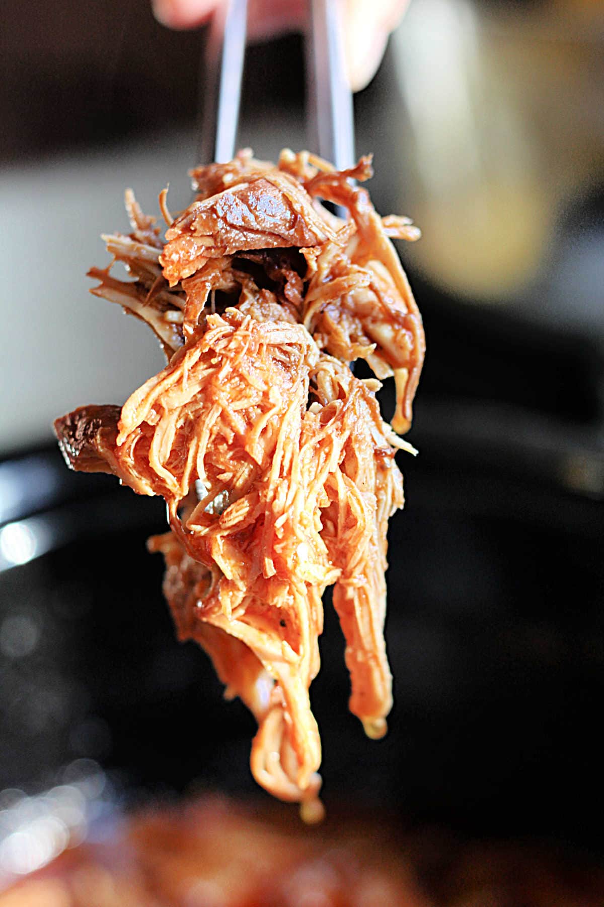 pulled chicken on a fork scooped out from a slow cooker crock pot