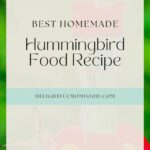 homemade hummingbird food nectar recipe