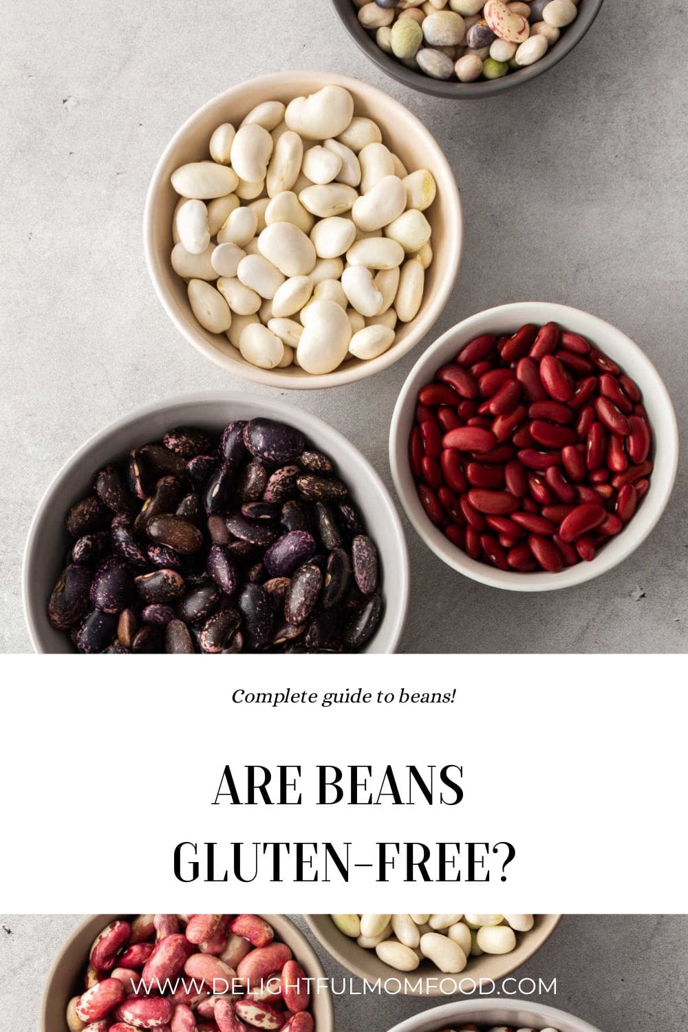 beans in a bowl showing what kind of beans are gluten free