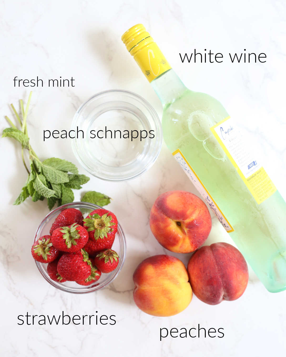 Ingredients of peaches, strawberries, white wine, peach schnapps, mint for sangria cocktail.