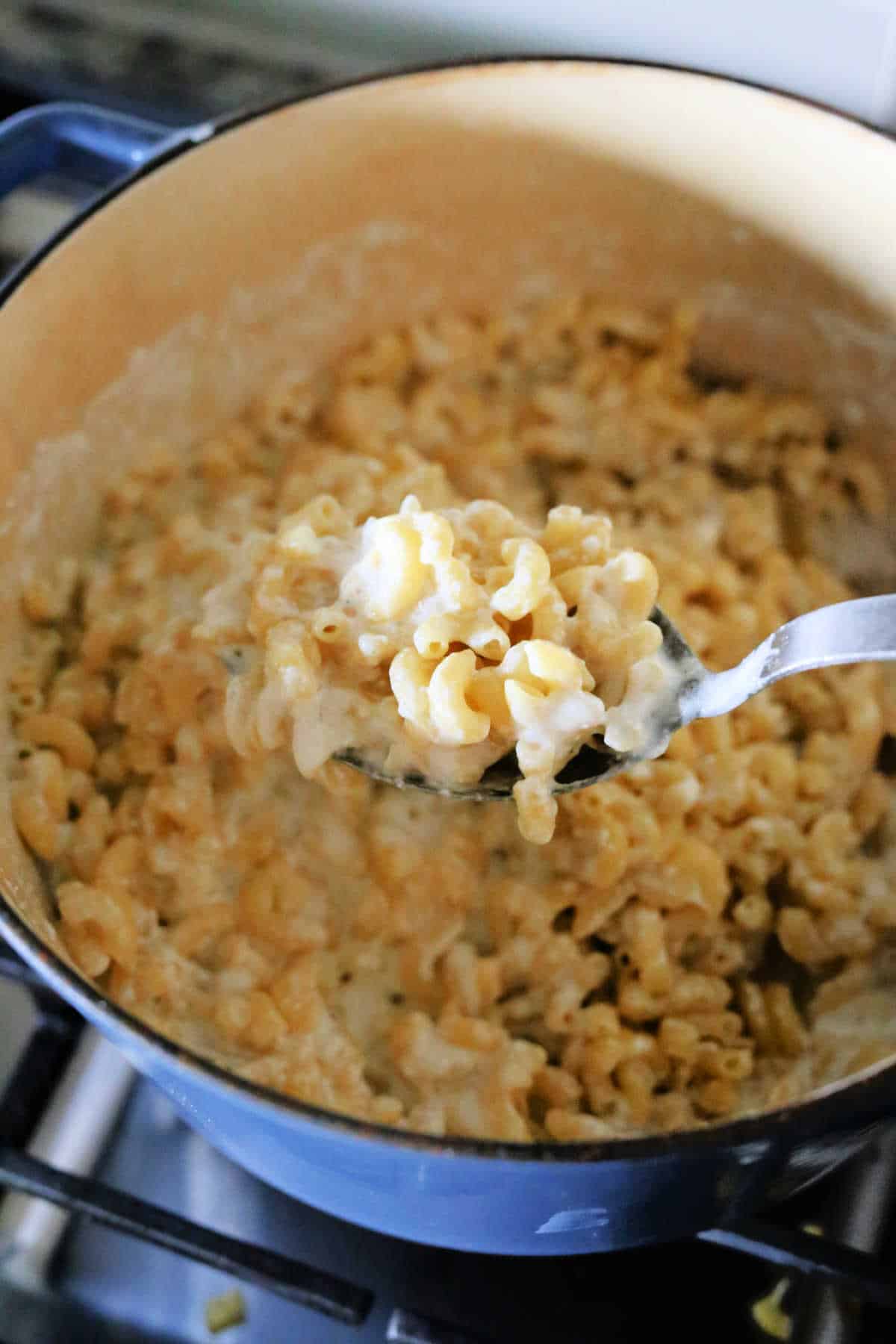 How to make cottage cheese mac and cheese.