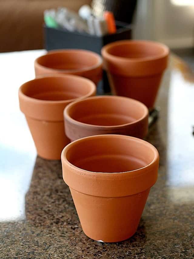 Terracotta flower pots lined up on the counter ready to be filled with Oreo dirt cake.